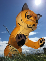 Scarborough2019-091