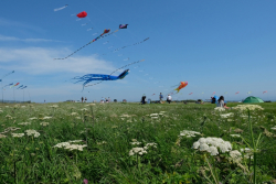 Scarborough2017-008