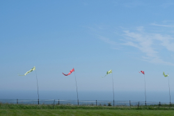 Scarborough2017-015