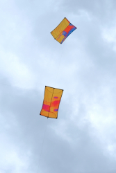 Scarborough2017-049