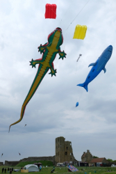 Scarborough2018-010