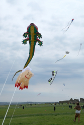 Scarborough2018-020