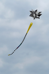 Scarborough2018-022