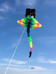 Scarborough2018-041