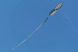 Scarborough2018-059
