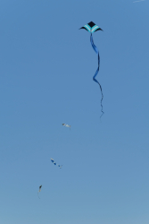 Scarborough2018-071