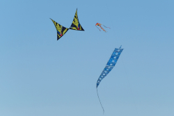 Scarborough2018-073