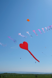 Scarborough2018-080