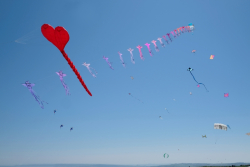 Scarborough2018-081