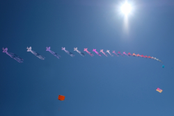 Scarborough2018-082