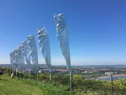 Scarborough2018-086