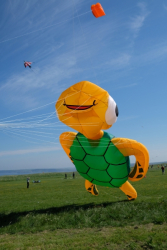 Scarborough2018-101