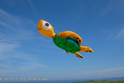 Scarborough2018-103