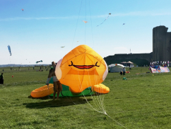 Scarborough2018-106