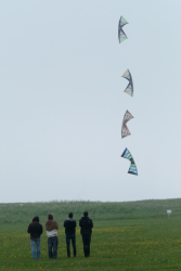 Scarborough2018-125