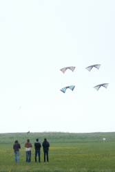 Scarborough2018-128