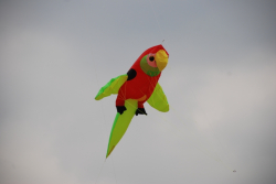 Scheveningen2009-012