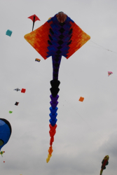 Scheveningen2009-018