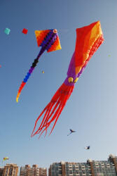 Scheveningen2009-051