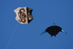 Scheveningen2009-060