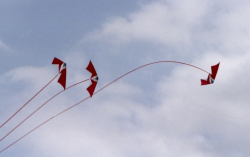 Shipley2002-003