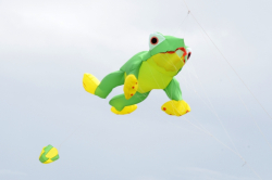 Skegness2012-007