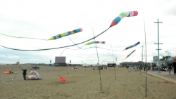 Skegness2012-010