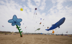 StAnnes2014-026