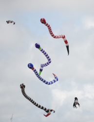 StAnnes2014-046