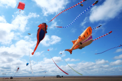 StAnnes2015-005