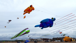 StAnnes2015-027