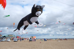 StAnnes2016-037