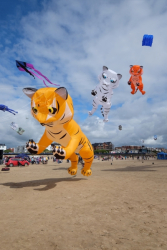 StAnnes2016-039