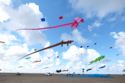 StAnnes2016-049