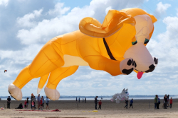 StAnnes2016-064