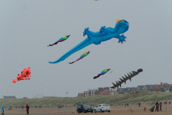 StAnnes2017-051
