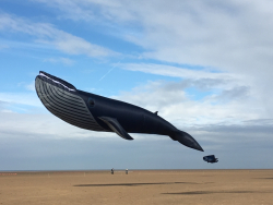 StAnnes2018-038