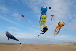 StAnnes2018-043