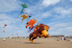 StAnnes2018-063