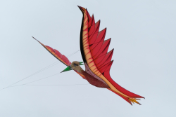 StAnnes2018-085
