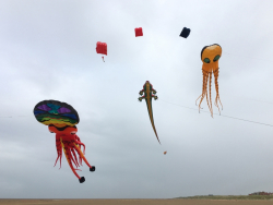 StAnnes2018-089