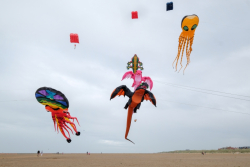 StAnnes2018-091