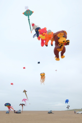 StAnnes2018-093