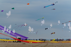 StAnnes2018-124