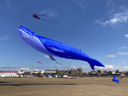 StAnnesSports2022-048