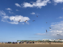 StAnnesSports2022-061