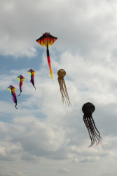 StAnnesSports2022-064