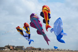 StAnnesSports2022-065