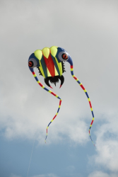 StAnnesSports2022-067