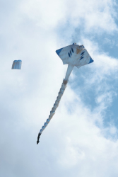 StAnnesSports2022-068